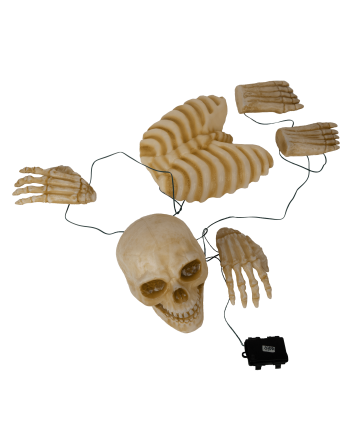 Esqueleton Garden C/1