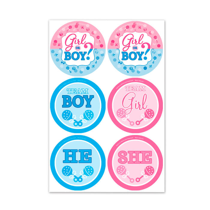 Distintivo Girl or Boy C/24