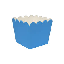 Caja Botanera Lisa Azul C/6