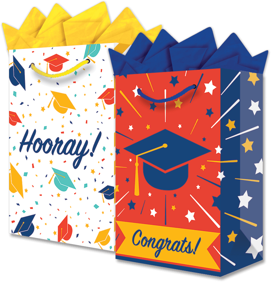 Bolsa Mediana Birrete Colores C/1