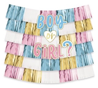 Decorating Backdrop Boy Or Girl