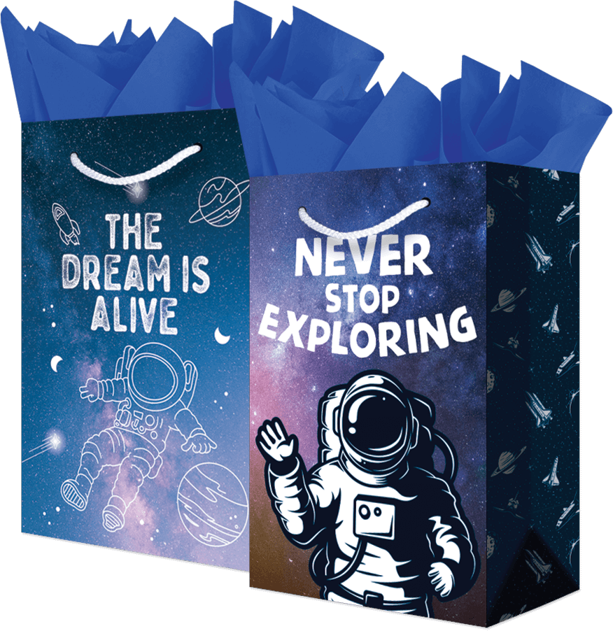 Bolsa Mediana Astronauta C/1