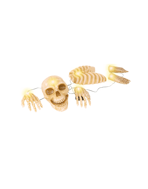 Esqueleton Garden C/1