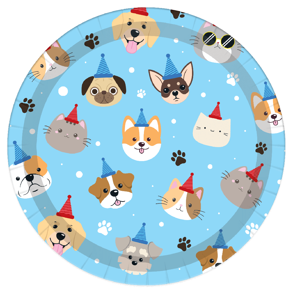 Plato 7" Happy B-Day Pet C/8