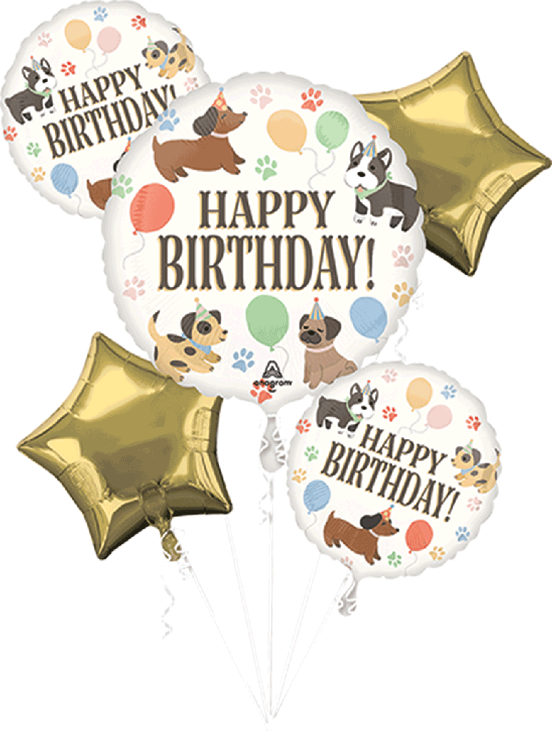 Balloon Bouquet Pets Party C/5