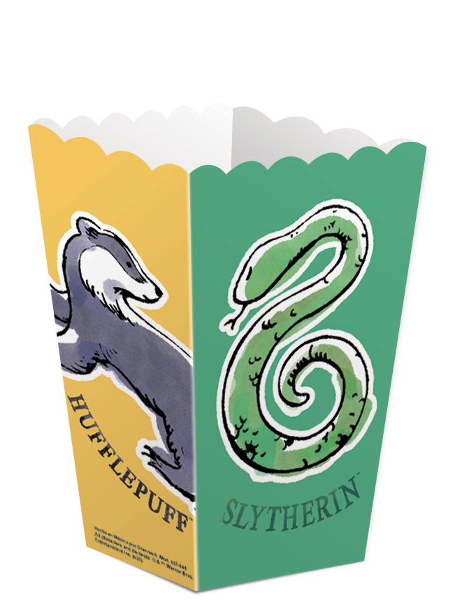 Caja Fantasia Harry Potter C/6