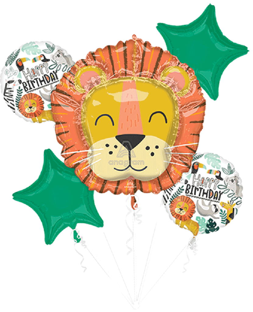 Balloon Bouquet Birthday Wild C/5