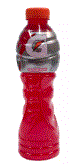 Gatorade Ponche de Frutas 500ml